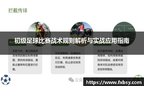 初级足球比赛战术规则解析与实战应用指南