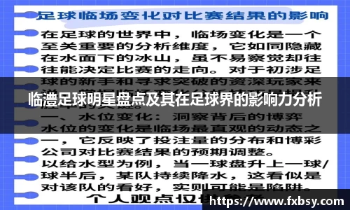 临澧足球明星盘点及其在足球界的影响力分析